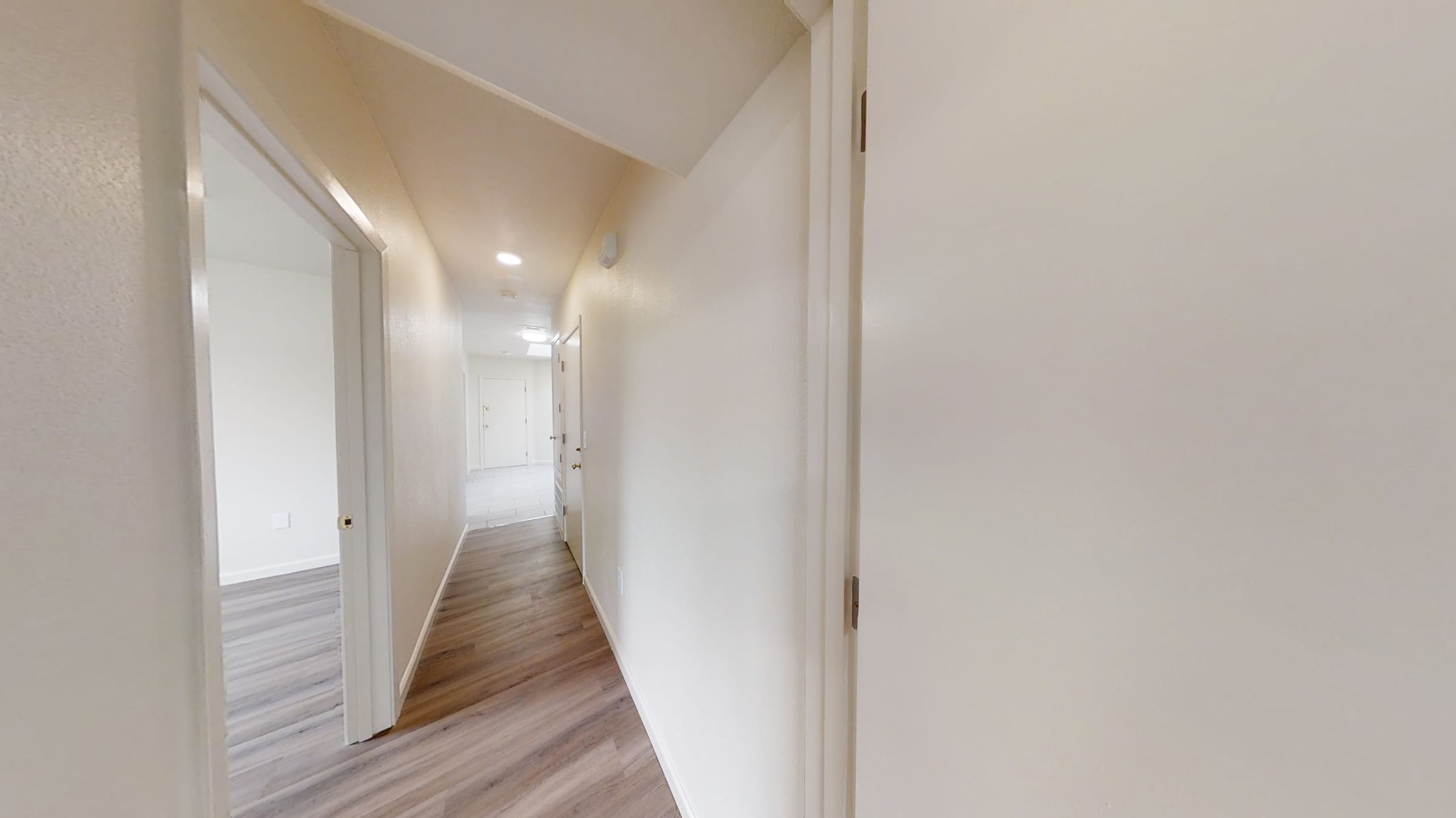 2021 Channing Way #5 — photo 12