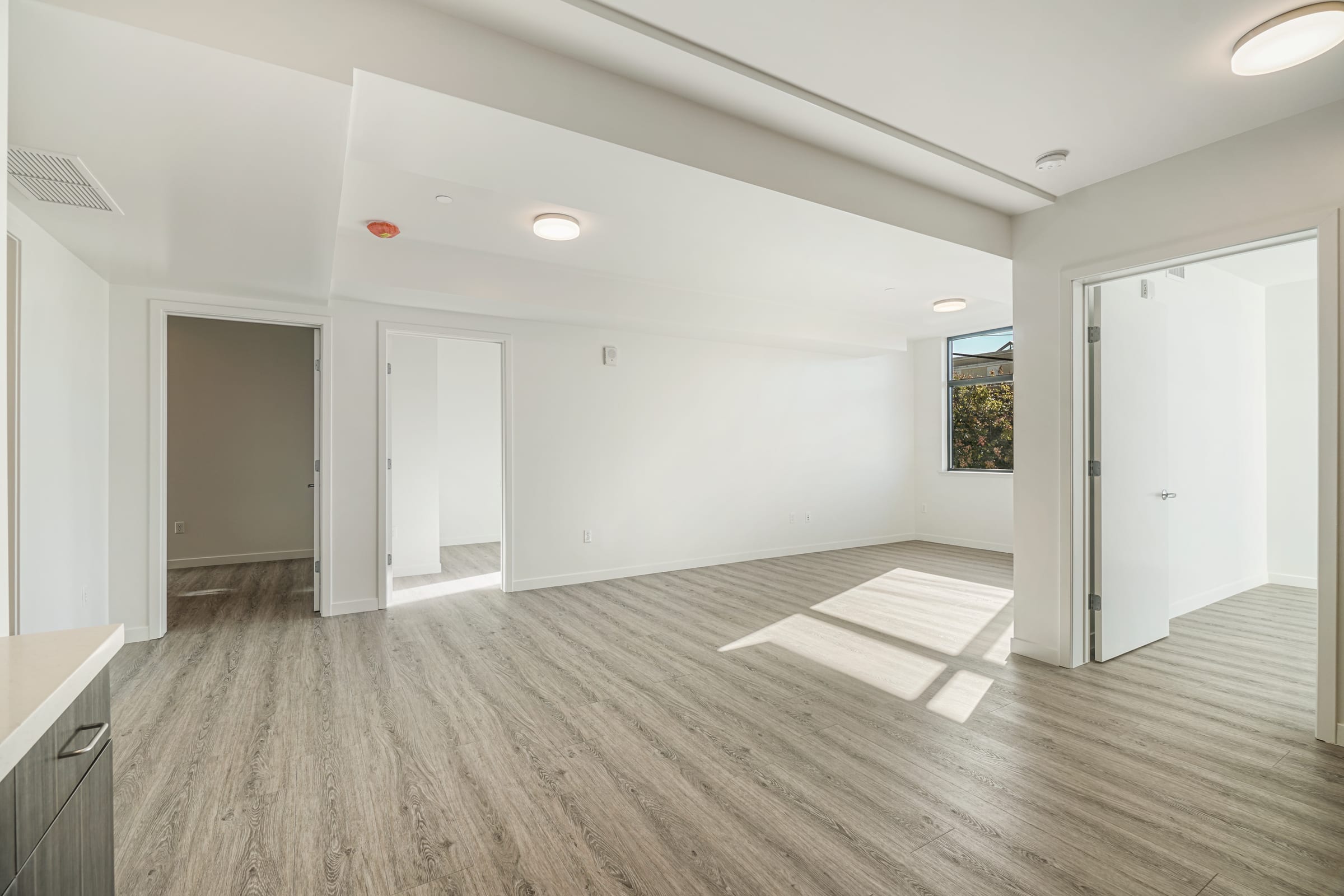 2124 Bancroft Way #210-D1 — photo 4