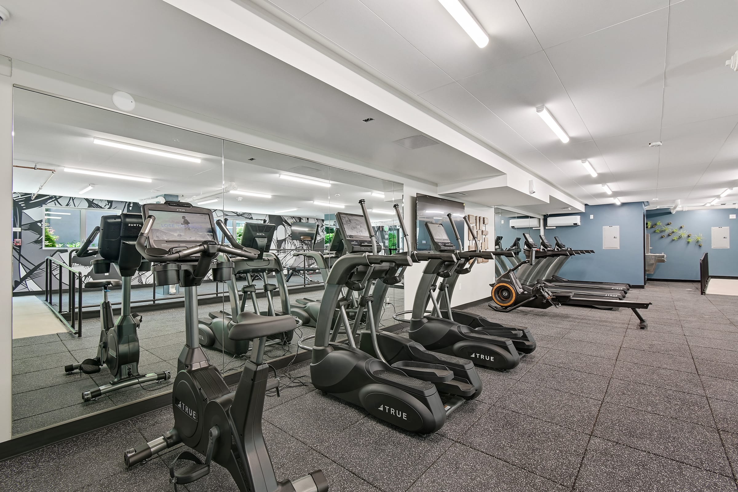 2020 Bancroft Way #Gym — photo 4