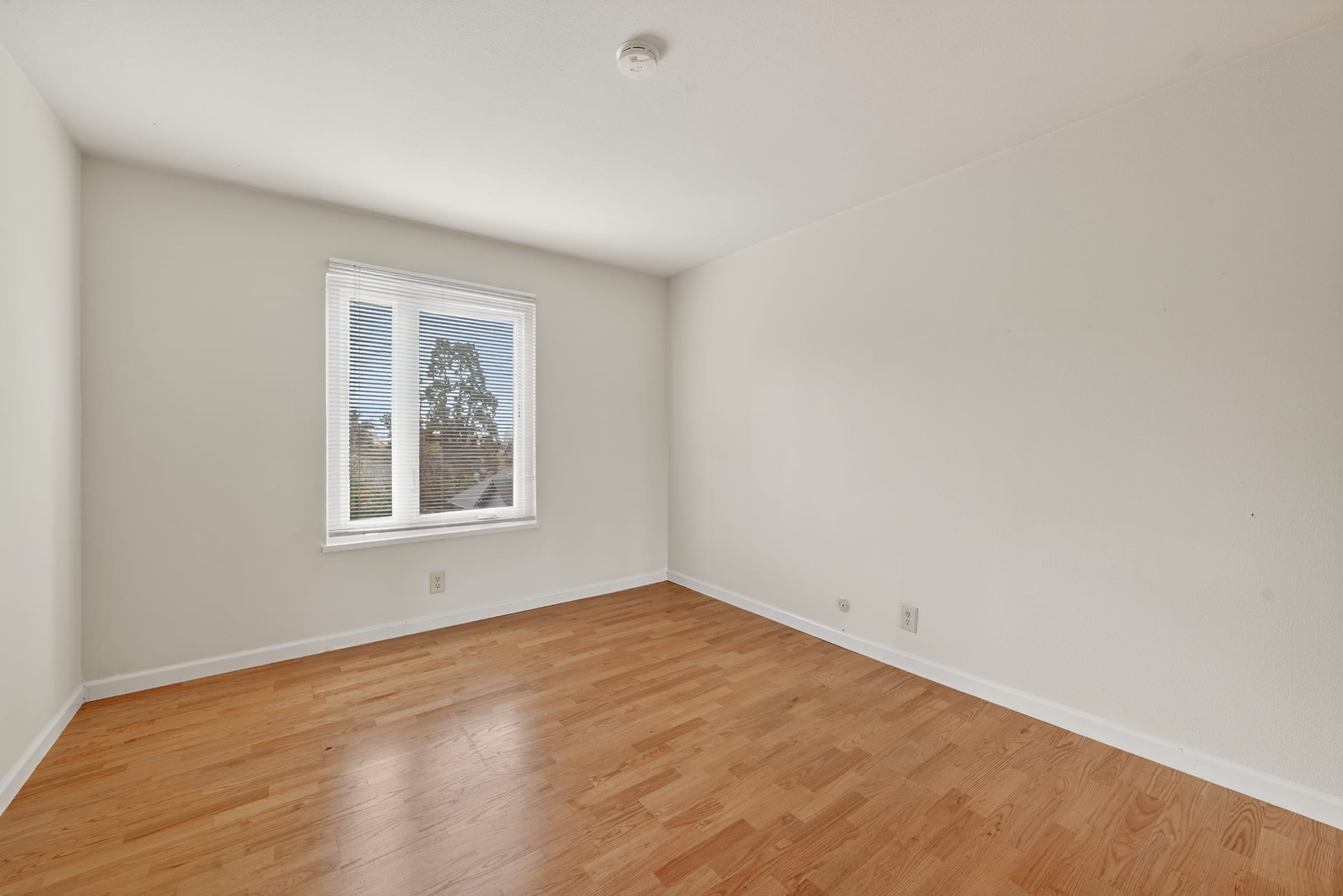 2511 Parker St #205 — photo 13