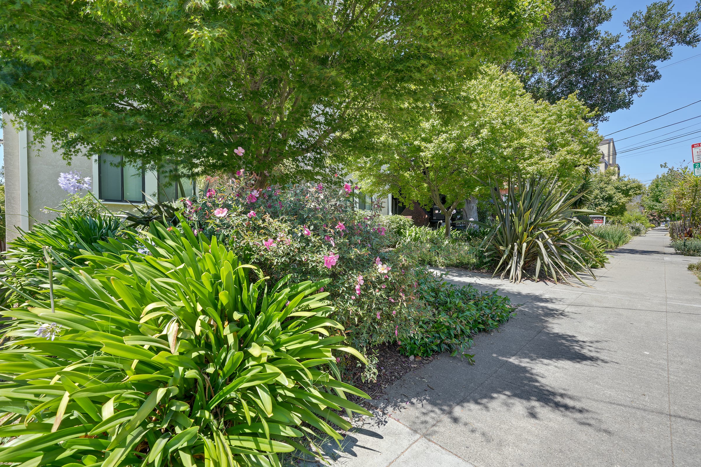 2620 Hillegass Ave #9 — photo 13