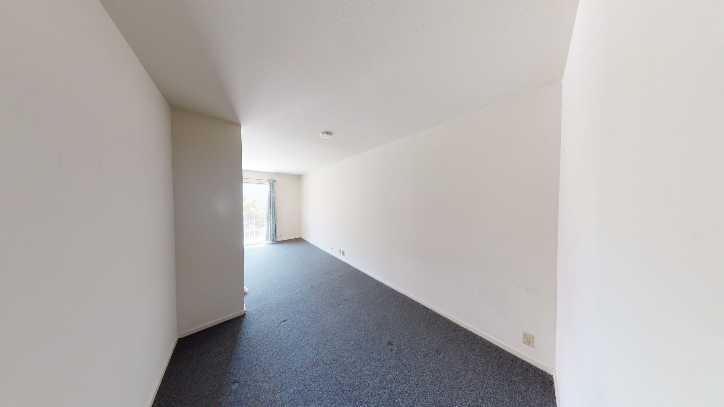 2025 Durant Ave #205 — photo 5