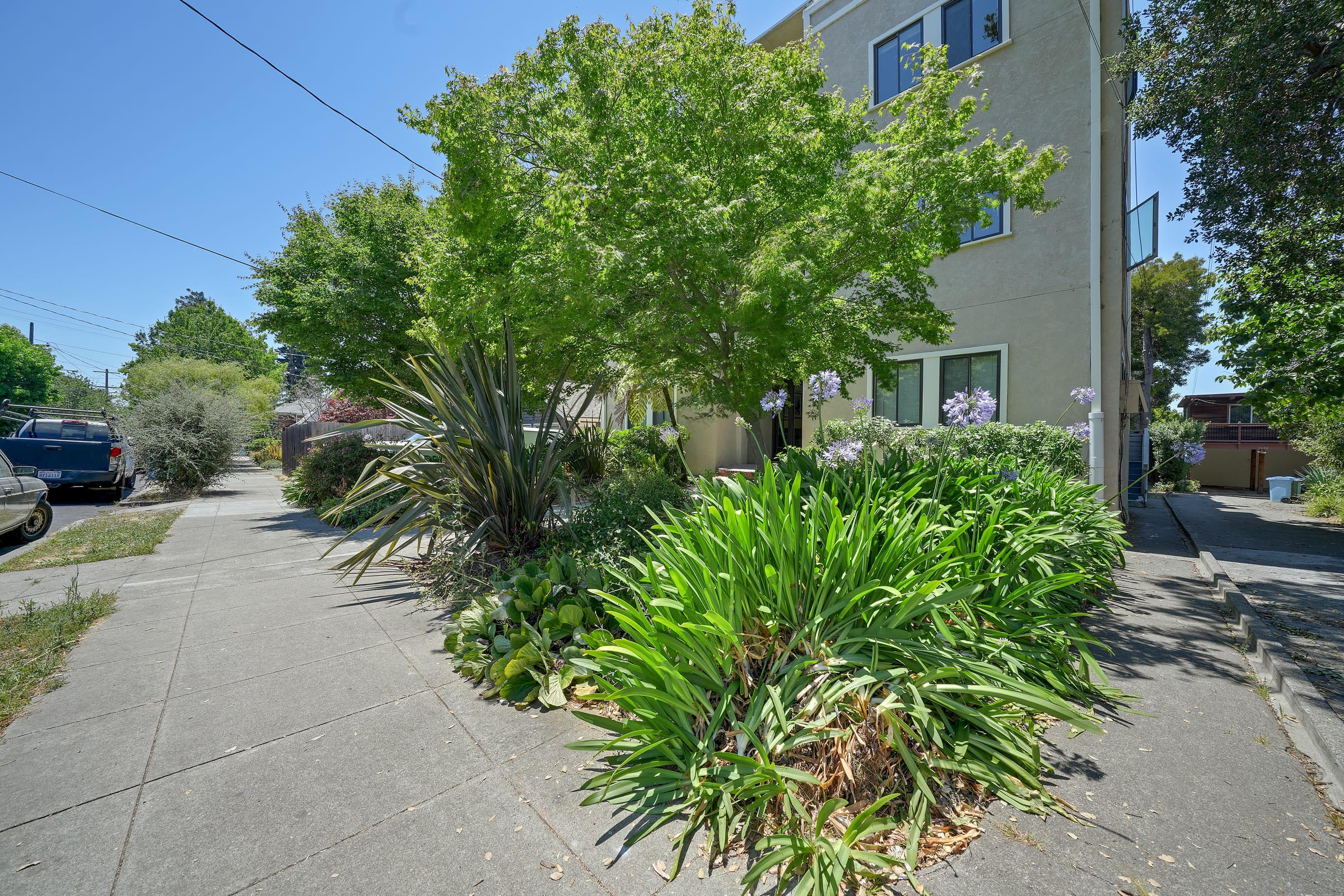 2620 Hillegass Ave #9 — photo 14