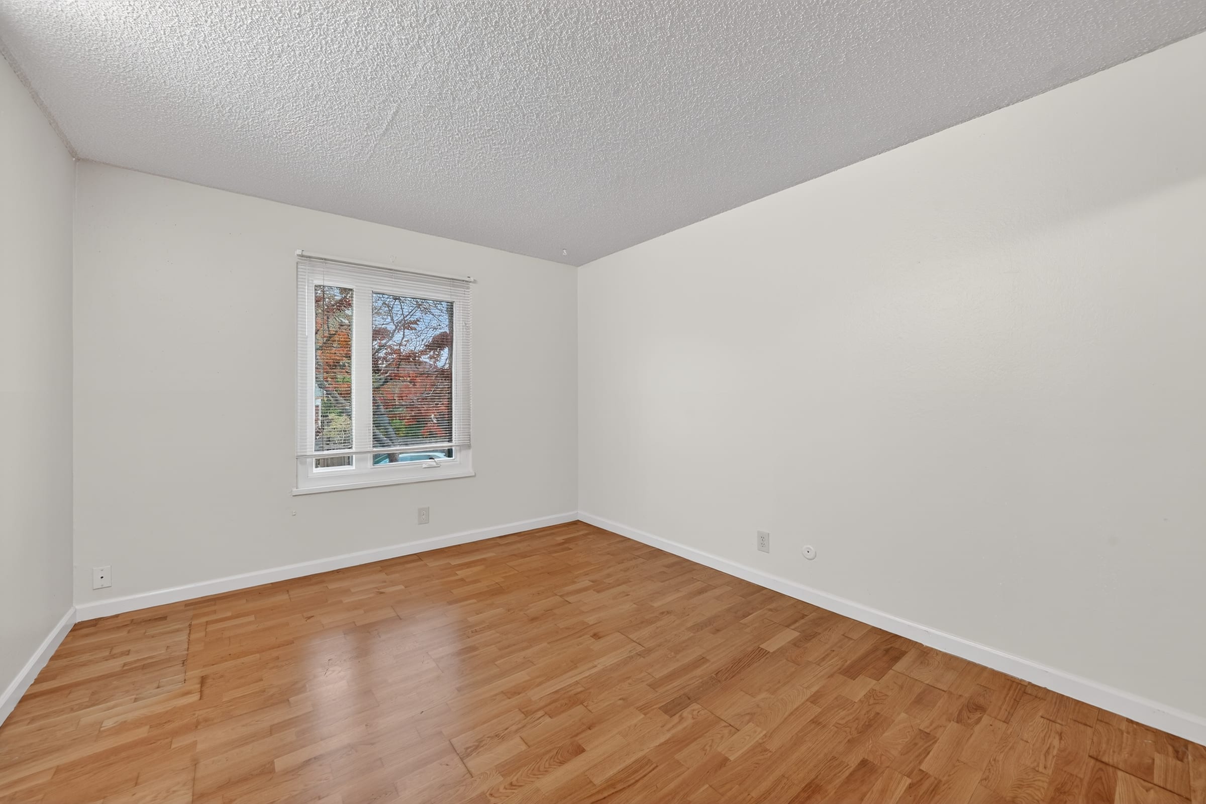 2511 Parker St #1 — photo 12