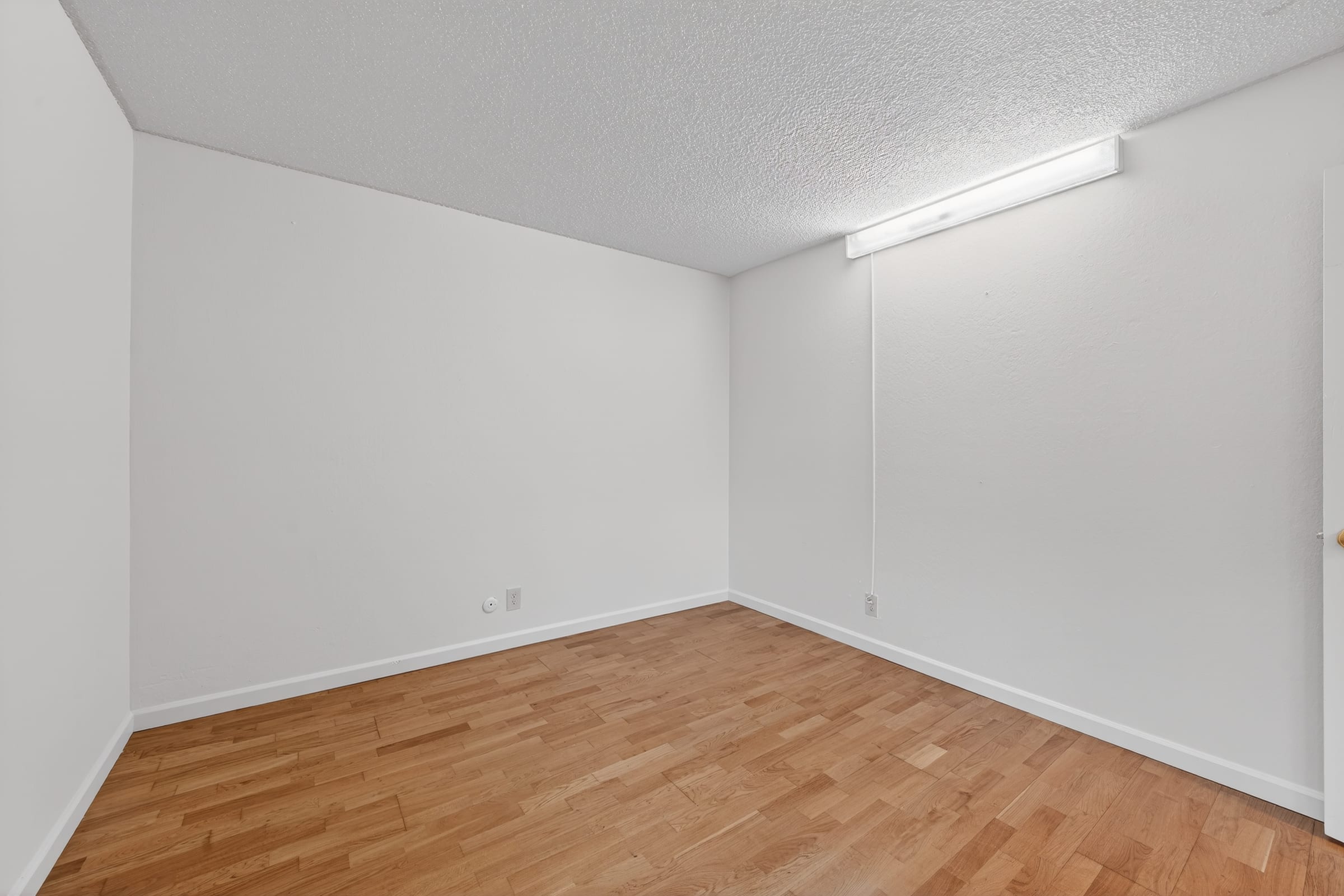 2511 Parker St #1 — photo 20